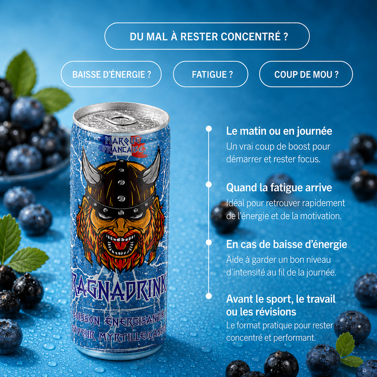Pack 24 canettes RagnaDrink Myrtille/Cassis