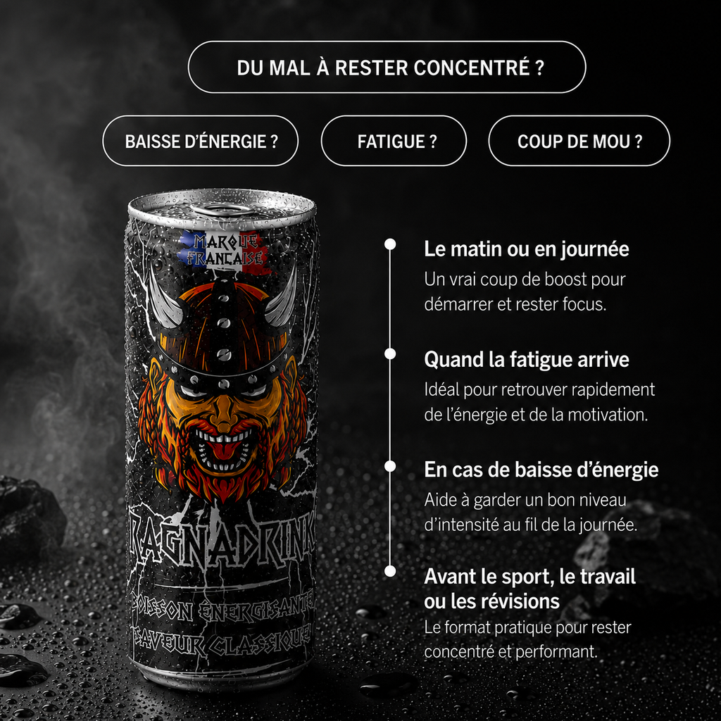 Pack Mixte RagnaDrink – 24 canettes - 4 saveurs