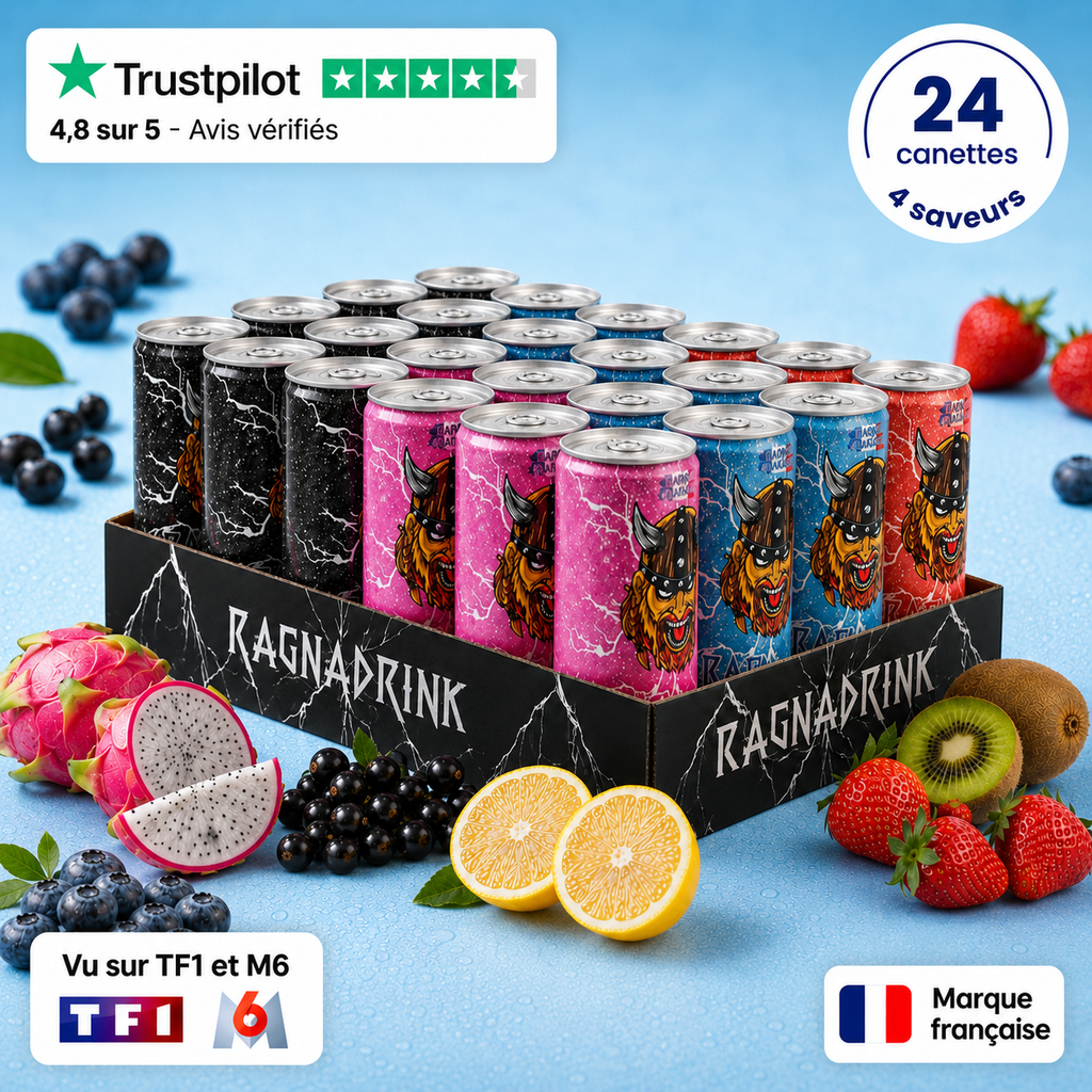 Pack Mixte RagnaDrink – 24 canettes - 4 saveurs