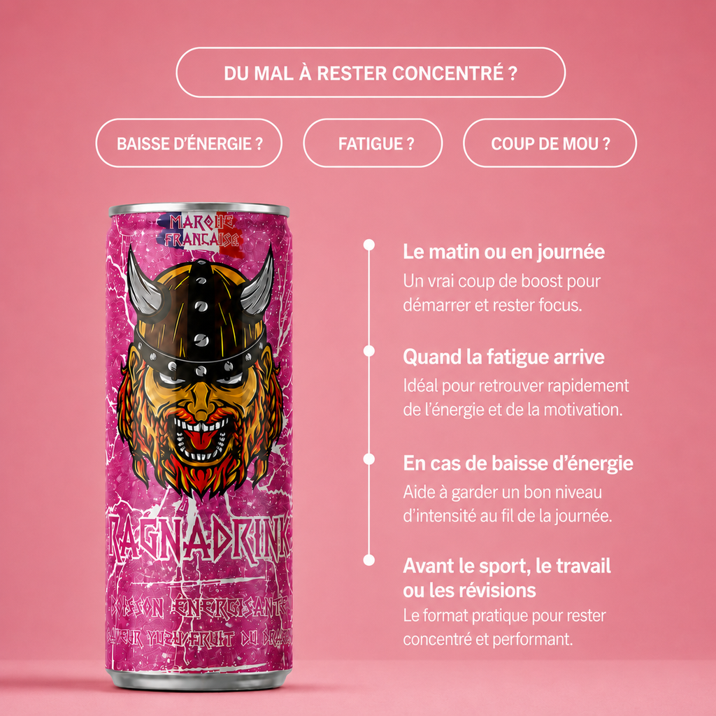 RagnaDrink Fruit du Dragon – 250 ml