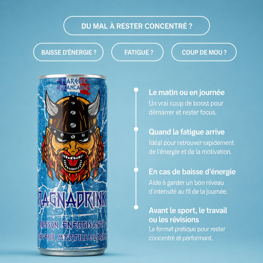 RagnaDrink Myrtille/Cassis – 250 ml